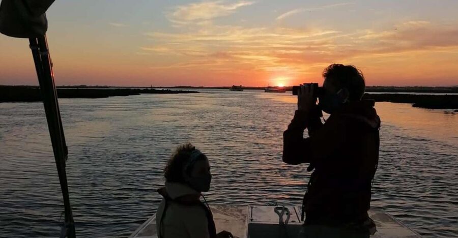 From Faro: Ria Formosa Sunset Boat Trip - Meeting at Formosamar near the Ginásio Clube Naval de Faro