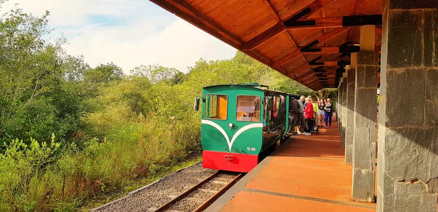 From Foz do Iguaçu: Argentinian Iguazu Falls with Boat Ride - Key Highlights You’ll Care About