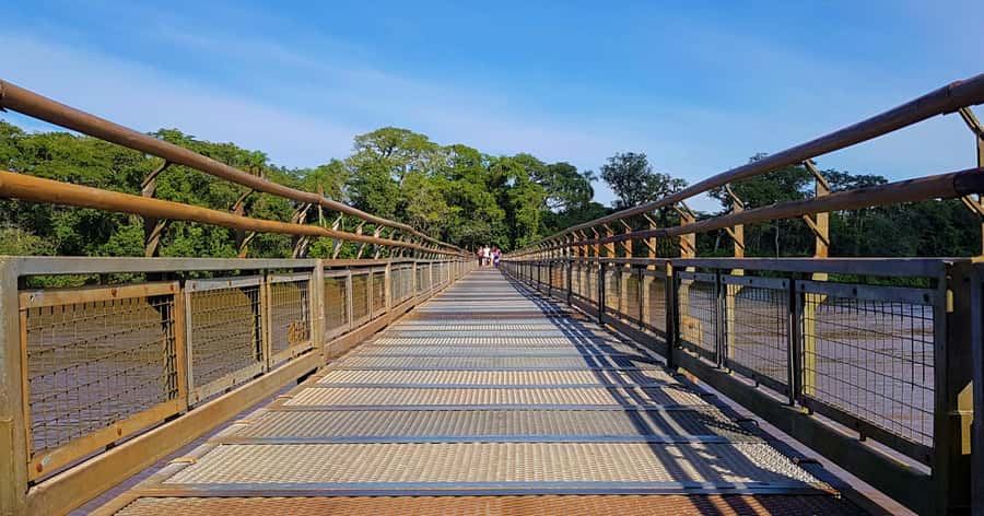 From Foz do Iguaçu: Argentinian Iguazu Falls with Boat Ride - Puerto Macuco Jungle Walk: The 100-Meter Descent That Builds Excitement