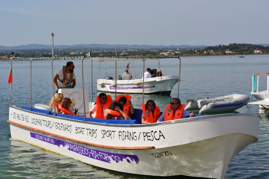 From Fuzeta: 2-Hour Southeast Ria Formosa Boat Trip - Birdwatching on the water: you’ll spot more when you ask the right questions