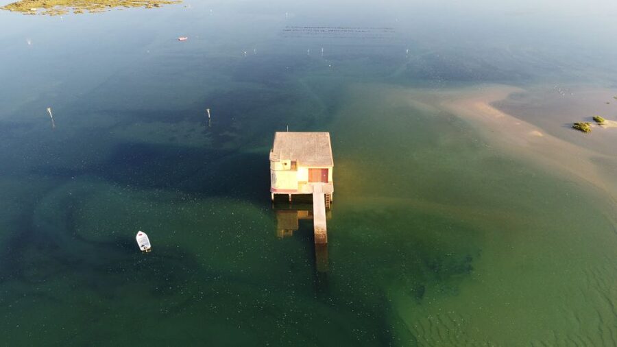 From Fuzeta: 2-Hour Southeast Ria Formosa Boat Trip - Should you book the Fuzeta 2-hour Ria Formosa boat trip?