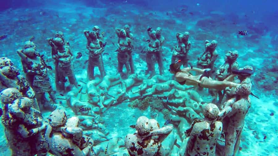 From Gili Air/Trawangan: Glass-Bottom Boat with Snorkeling - Transfers and Drop-Off: Plan Your Next Step