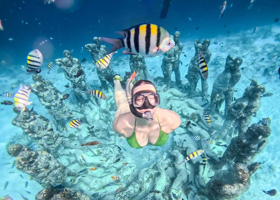From Gili Trawangan: Gili Islands Snorkeling Boat Tour - Key Highlights You’ll Actually Care About