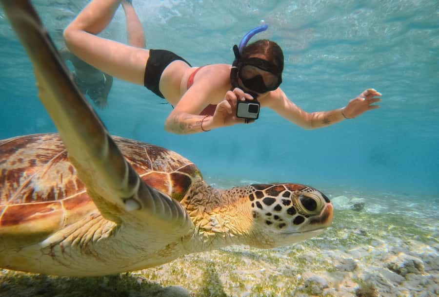 From Gili Trawangan: Gili Islands Snorkeling Boat Tour - Glass-Bottom Boat Ride: How It Sets You Up for Snorkeling