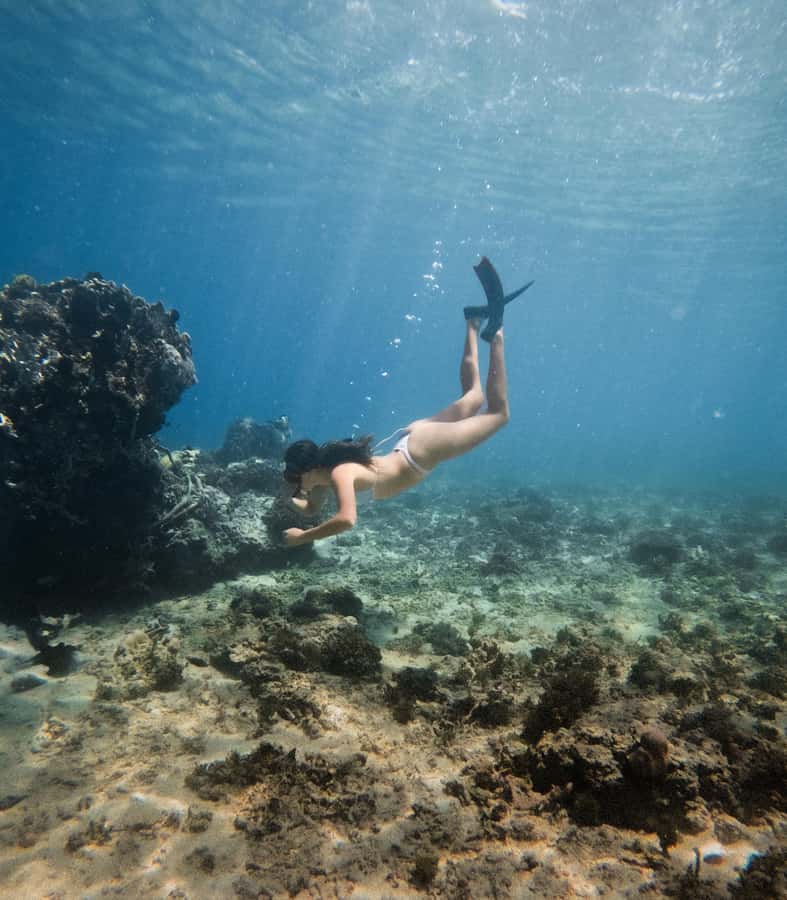 From Gili Trawangan: Gili Islands Snorkeling Boat Tour - Underwater GoPro Footage: What You Get and What to Watch For