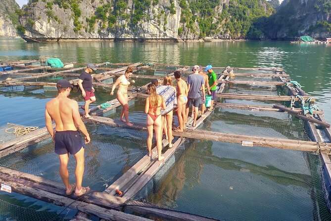 From Ha Noi/Cat Ba: Full-Day Cruise to Lan Ha bay - Ha Long Bay - Price and value at around $32 per person