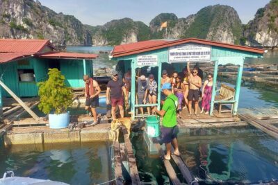 From Ha Noi/Cat Ba: Full-Day Cruise to Lan Ha bay - Ha Long Bay - Getting to the bay: meeting point in Cat Ba and what timing means