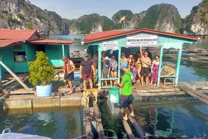 From Ha Noi/Cat Ba: Full-Day Cruise to Lan Ha bay - Ha Long Bay - Getting to the bay: meeting point in Cat Ba and what timing means