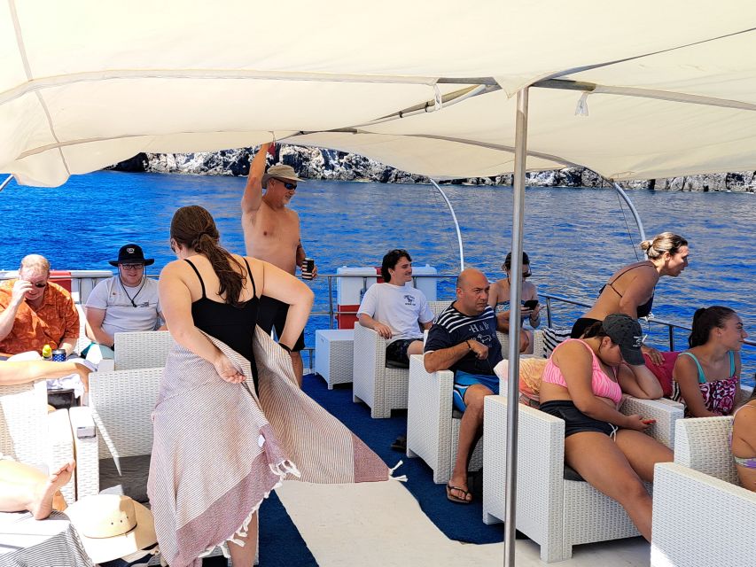 From Ischia: Procida Island Full-Day Boat Tour with Lunch - Vivara nature reserve: quiet ecology with a strong “why it matters” angle
