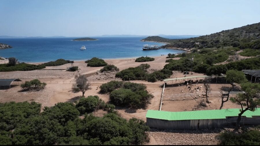From Izmir: Full Day Boat Trip around Cesme with BBQ Lunch - Timing and flow: how the day adds up to 11 hours