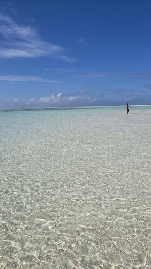 From Kendwa: Mnemba Boat Trip and Dolphin Snorkel Adventure - Key takeaways before you book