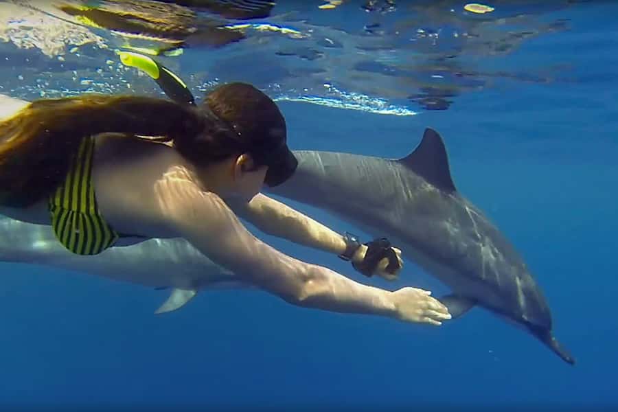 From Kendwa: Mnemba Boat Trip and Dolphin Snorkel Adventure - From Kendwa to Mnemba Atoll: the morning route that matters