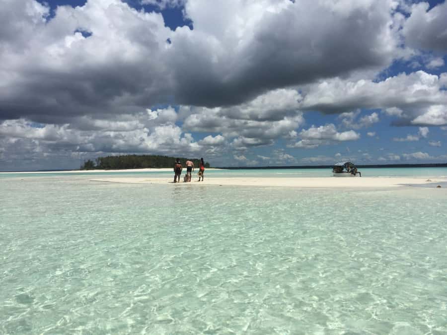 From Kendwa: Mnemba Boat Trip and Dolphin Snorkel Adventure - Price and value: is $50 worth it?