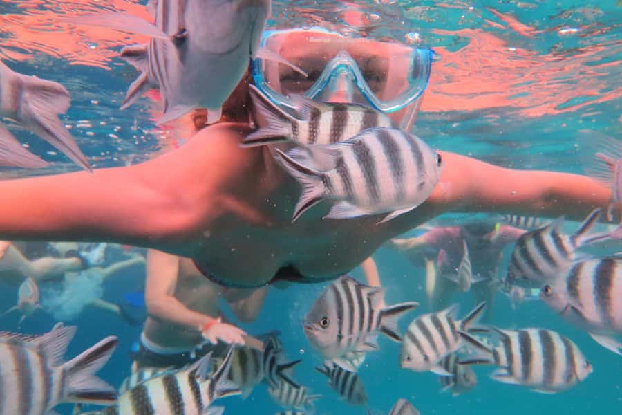 From Kendwa: Mnemba Boat Trip and Dolphin Snorkel Adventure - Practical tips so your day goes smoothly