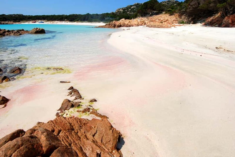 From La Maddalena or Palau: Archipelago Boat Tour - Boat Comfort: The Città di Chiavari and How It Handles the Coast