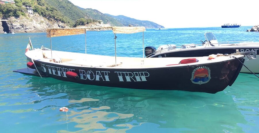 From La Spezia: Cinque Terre Full-Day Boat Tour - Onboard comforts: drinks, music, and why small-group matters