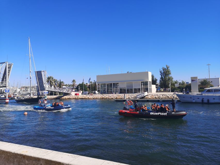 From Lagos: Dolphin Watching Boat Trip w/Marine Biologists - The 1.5-hour Atlantic search: pace, safety, and how it plays out