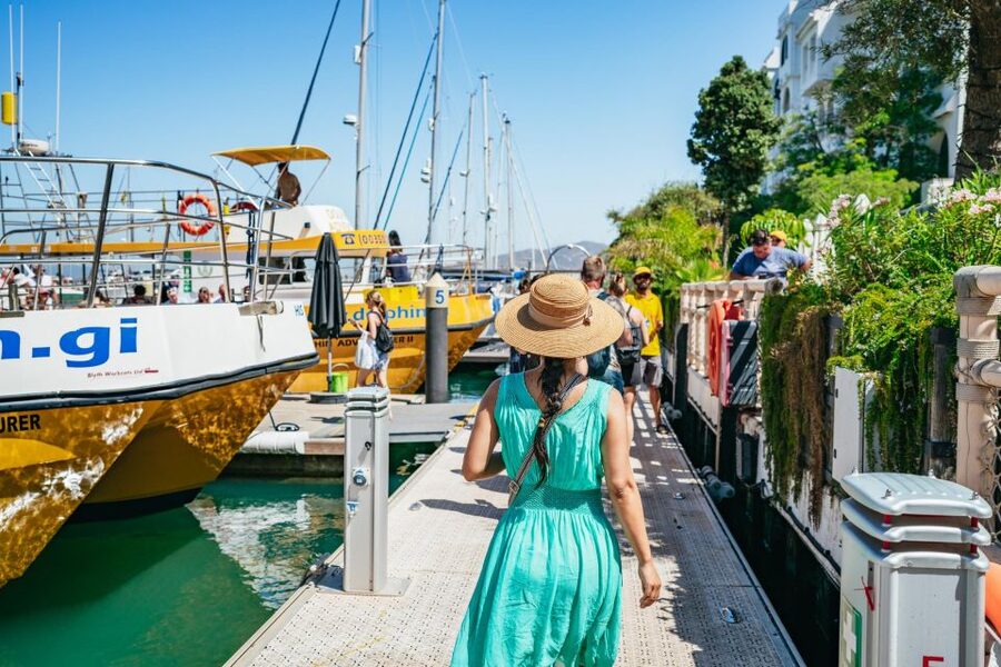 From Malaga: Day trip to Gibraltar and Dolphin Boat Tour - Timing and delays: the one place where expectations need tuning