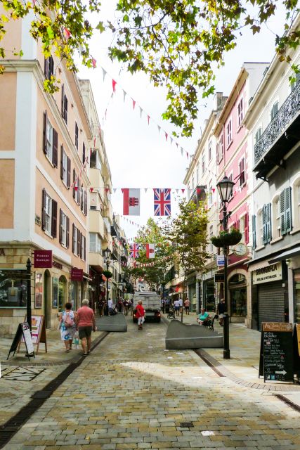 From Malaga: Day trip to Gibraltar and Dolphin Boat Tour - From Málaga pickup to La Línea border crossing: what to expect