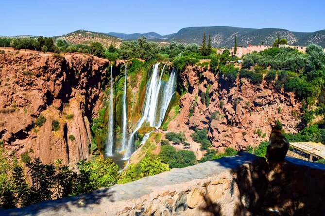 From Marrakech: Day Trip to Ouzoud Waterfalls Guided & Boat Ride - Lunch by the Water: Moroccan Food That Actually Works on a Day Trip