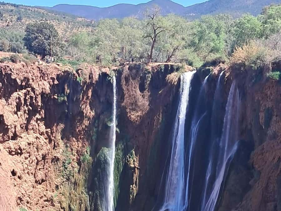 From Marrakech:Ouzoud Waterfalls Day Trip with Boat Tour - Monkeys and the Scam Reality Check: Enjoy the Wild, Stay Smart