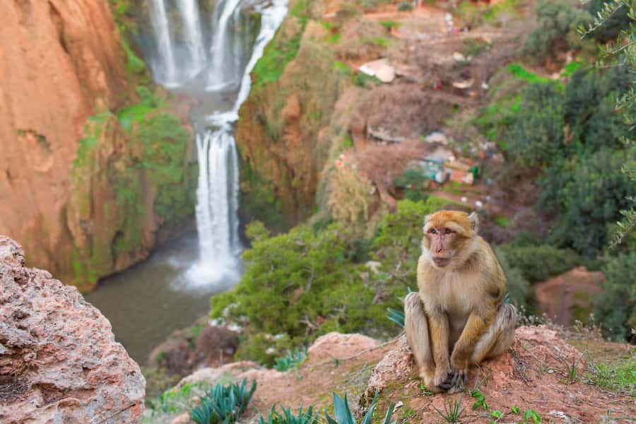 From Marrakech: Ouzoud Waterfalls Guided Tour and Boat Ride - First views and the guided walk: what the 4 hours are really for