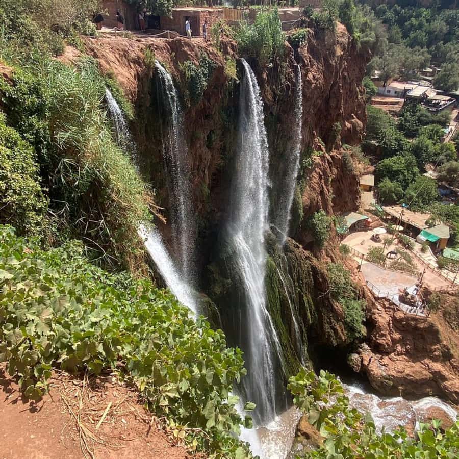 From Marrakech: Ouzoud Waterfalls Guided Tour and Boat Ride - Guide quality can change the whole day (and you’ll notice)