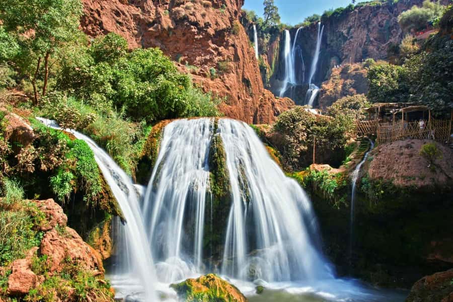 From Marrakech: Ouzoud Waterfalls Guided Tour and Boat Trip - Wild Barbary Macaques: Seeing Them Up Close Without Making It a Problem