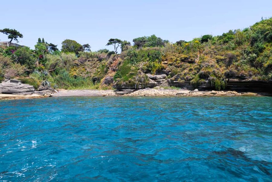 From Naples: Procida Transfer with Island Boat Tour - Swim and snorkel stops: when the extended option is worth it