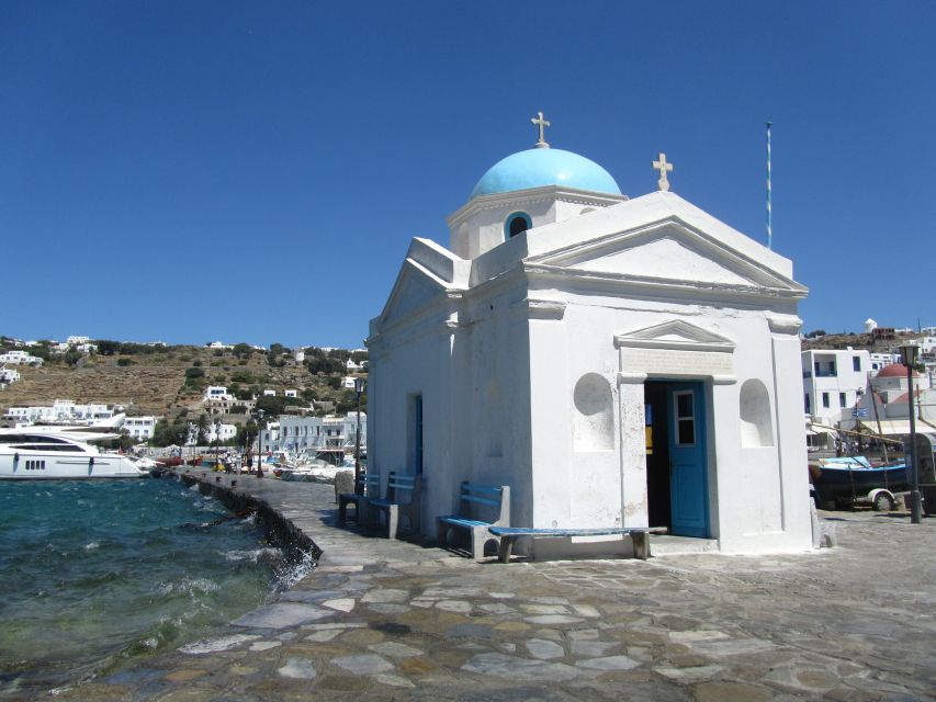 From Naxos: Delos and Mykonos Full-Day Boat Trip - Who Should Book This Day Trip From Naxos