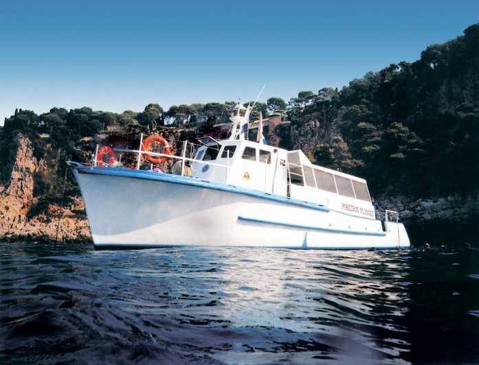 From Nice: Villefranche Bay Swimming & Snorkeling Boat Tour - Quick Key Points Before You Go