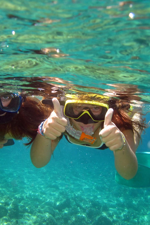 From Nice: Villefranche Bay Swimming & Snorkeling Boat Tour - Marine Life You Can Hope to See