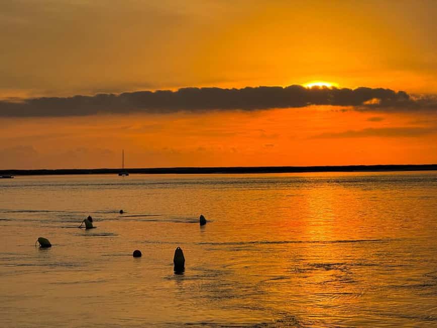From Olhão: Ria Formosa Sunset Island Boat Tour - Wildlife and bird spotting in the lagoon: what to watch for