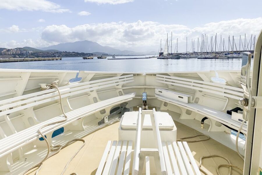 From Ota: Scandola Nature Reserve Eco-Friendly Boat Tour - Calanche de Piana Upgrade: Pink Granite, Two-Part Timing