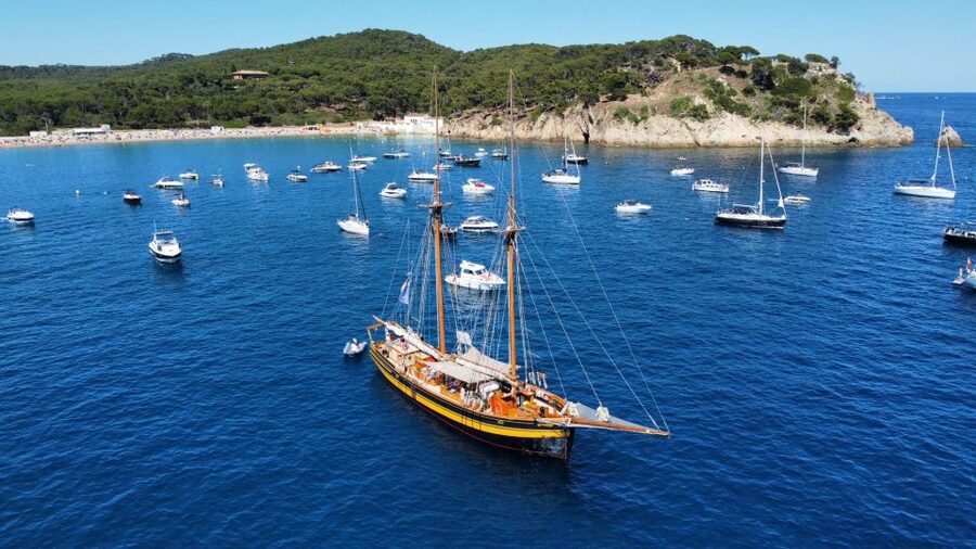 From Palamos: Scenic Boat Trip to Calella de Palafrugell - Inside a classic 1903 wooden vessel: the feel of the cruise