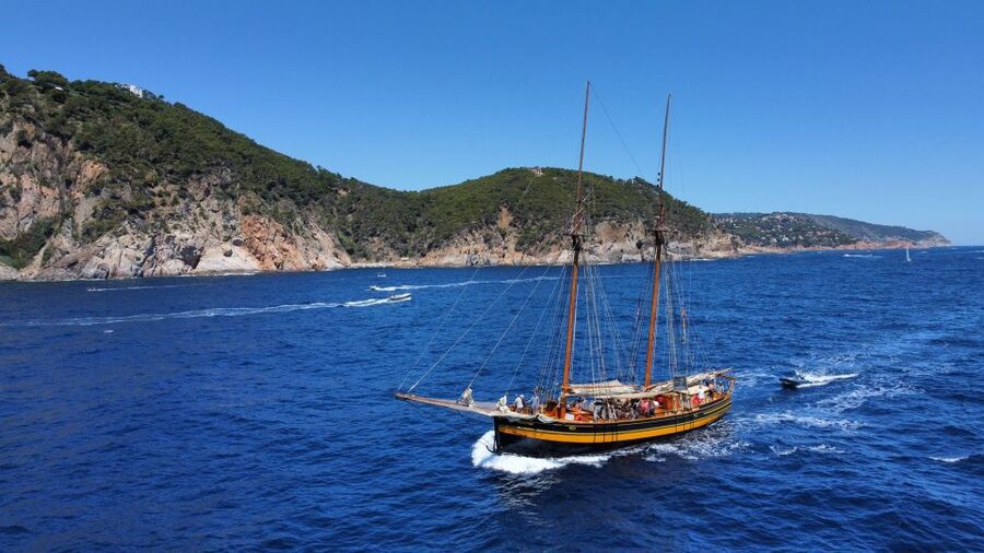 From Palamos: Scenic Boat Trip to Calella de Palafrugell - Crew storytelling: maritime culture, biology, geology, and sea life