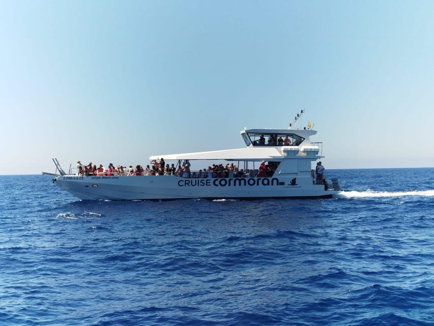 From Palma: 3-Hour Morning Dolphin Watching Boat Tour - Carpe Diem From Palma: What This Morning Dolphin Trip Delivers