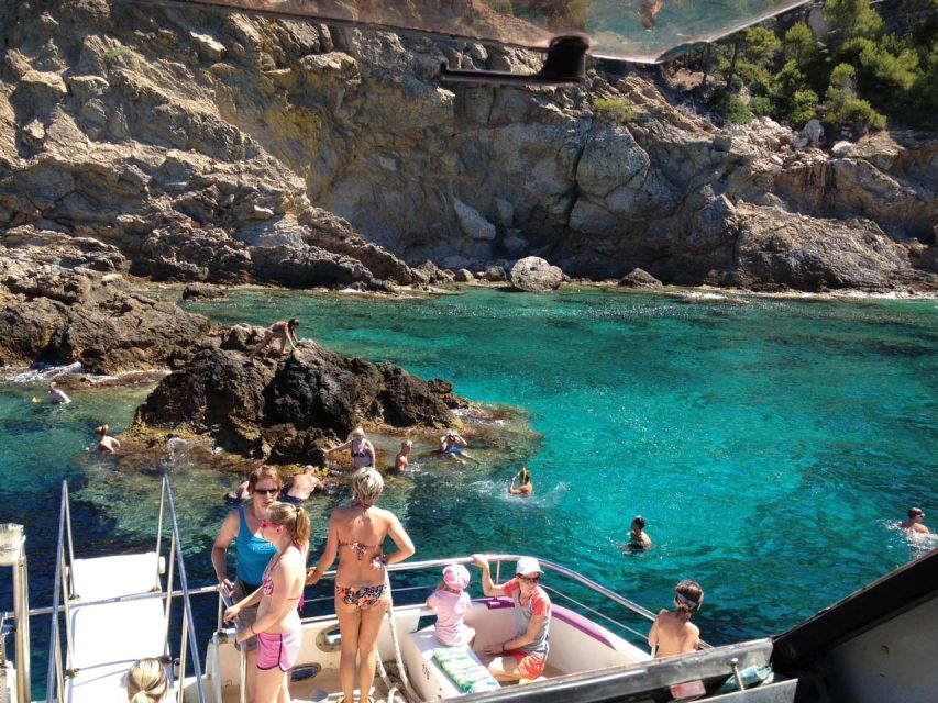 From Palma: 3-Hour Morning Dolphin Watching Boat Tour - The Dolphin-Search Stretch: Slow Sailing Meets Sudden Magic