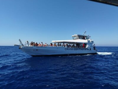 From Palma: 3-Hour Morning Dolphin Watching Boat Tour - Getting There: Palma Pickup, La Lonja, and the Traffic Reality