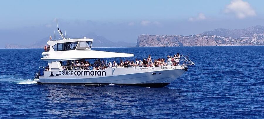 From Palma: 3-Hour Morning Dolphin Watching Boat Tour - The Swim Stop and Snorkel Gear: Clear Water Time You’ll Actually Use