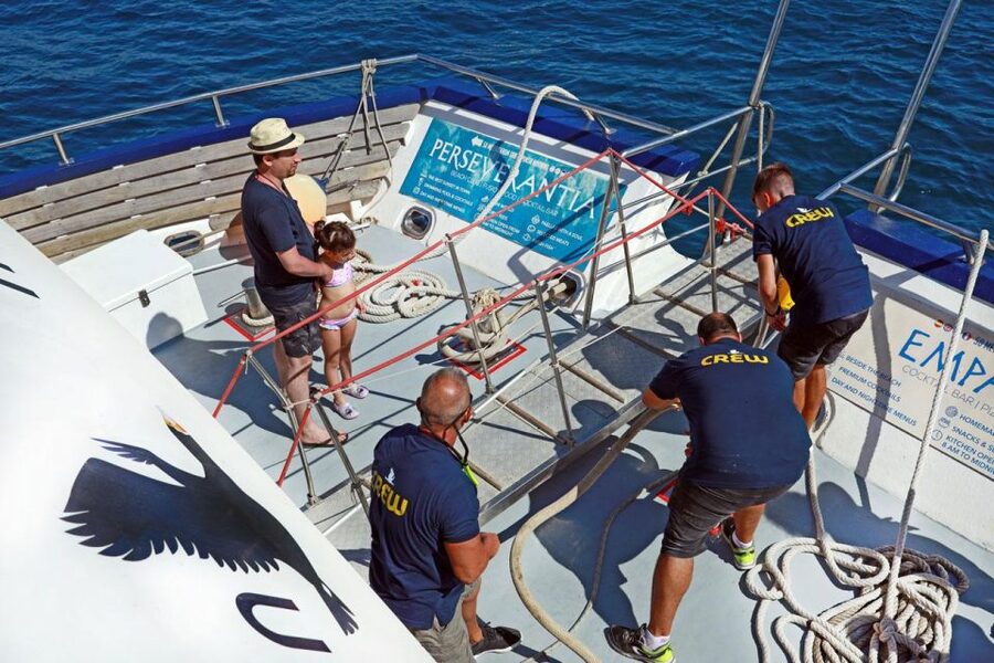 From Palma: 3-Hour Morning Dolphin Watching Boat Tour - Who This Tour Suits (and Who Might Feel Frustrated)
