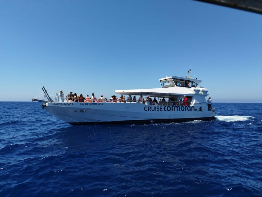 From Palma: 3-Hour Morning Dolphin Watching Boat Tour - Getting There: Palma Pickup, La Lonja, and the Traffic Reality