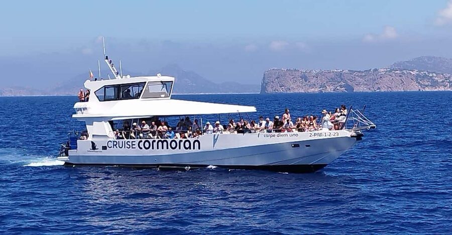 From Palma: Afternoon Dolphin-Watching Boat Tour - Key things I’d watch for on this tour