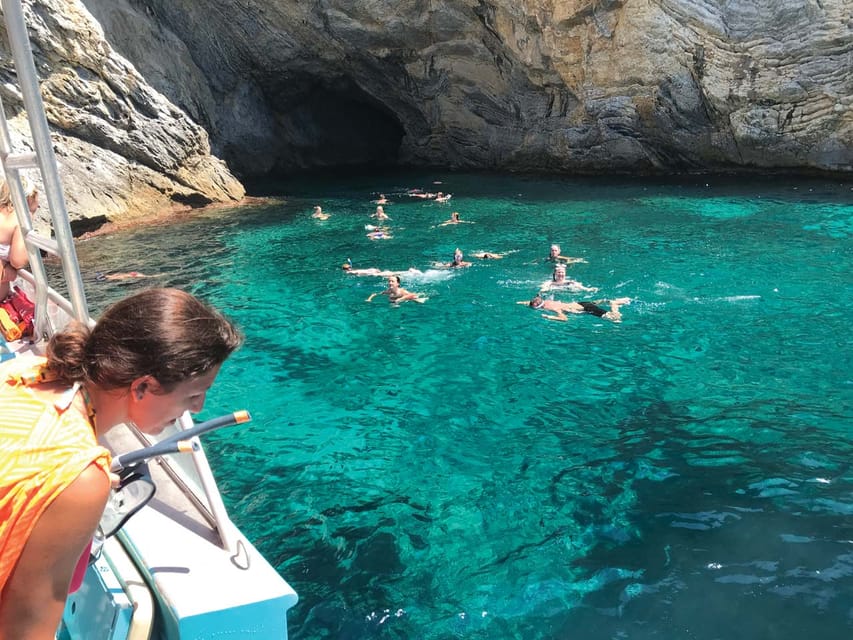 From Palma: Afternoon Dolphin-Watching Boat Tour - Dolphin spotting reality: what you can control (and what you can’t)