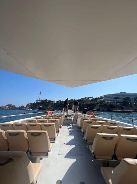 From Palma: Afternoon Dolphin-Watching Boat Tour - What’s on board: comfort, crew style, and drinks you pay for