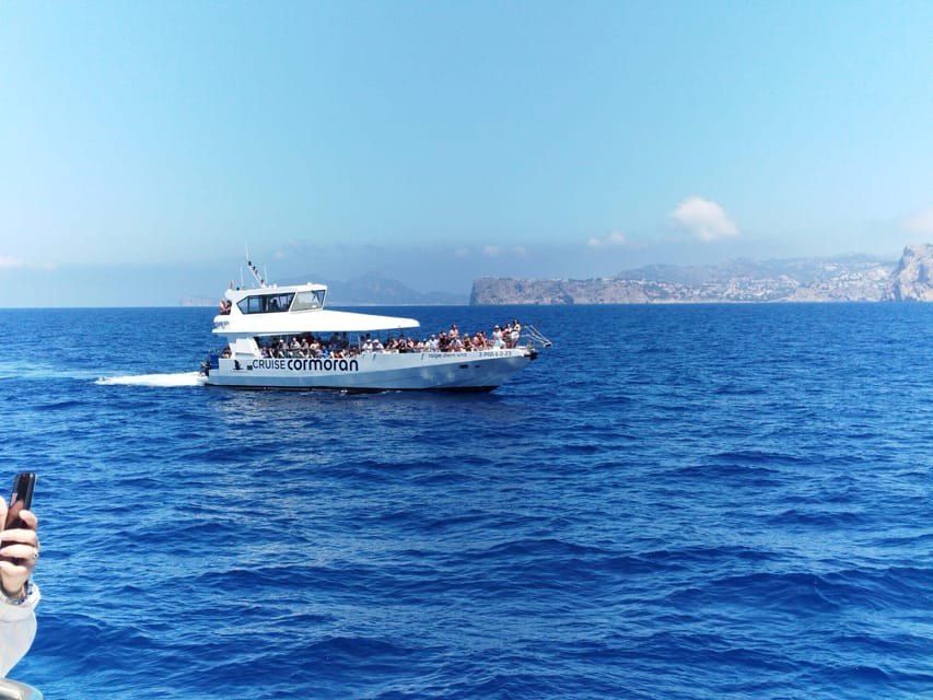 From Palma: Afternoon Dolphin-Watching Boat Tour - Who this tour suits best (and who should skip it)