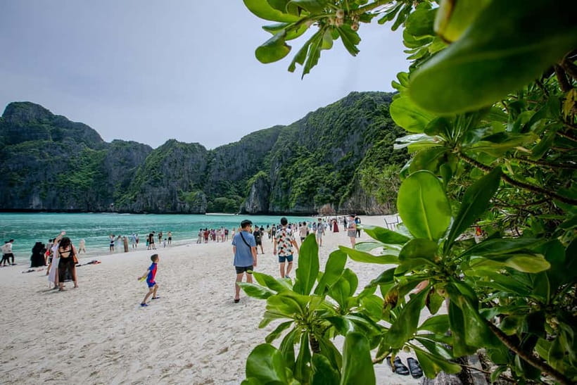 From Phi Phi: Half Day Longtail Boat Tour to Maya Bay - How the Longtail Boat Day Works: 4 Hours, 20 People, Real Time in the Water