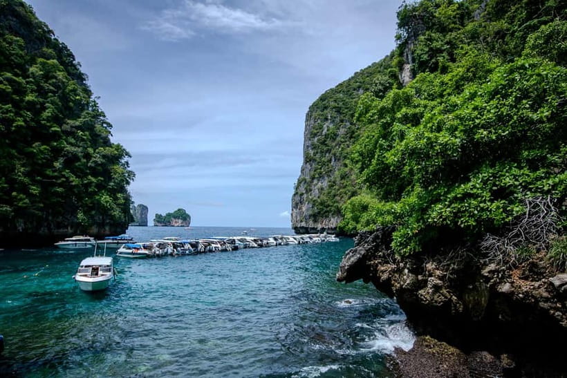 From Phi Phi: Half Day Longtail Boat Tour to Maya Bay - Monkey Beach and Viking Cave: Wildlife + Limestone Drawings in Tight Time Blocks