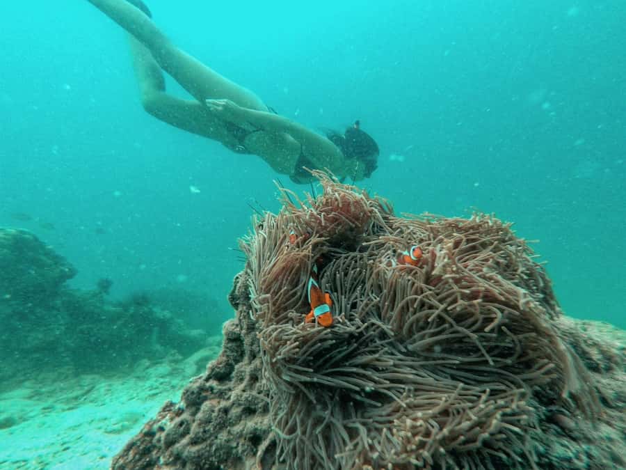 From Phuket: Coral Island Private Longtail Boat Tour - Private longtail boat charter: real control, not a packed itinerary