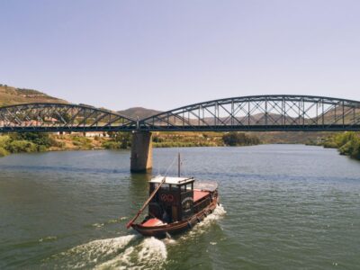 From Pinhão: Douro Valley Rabelo Boat Tour with Audio Guide - The Rabelo boat ride: how the Douro feels at 5 km/h